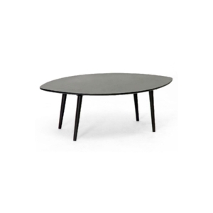 Modern Coffee Table